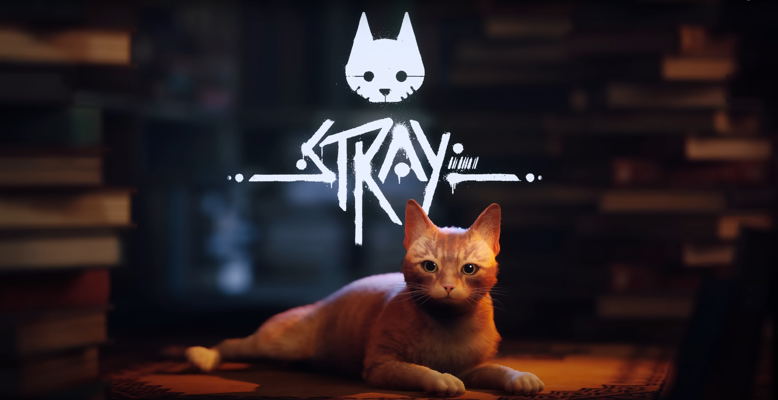 Cyberpunk cat game Stray gets a release date on PS5, PS4, PC - Polygon