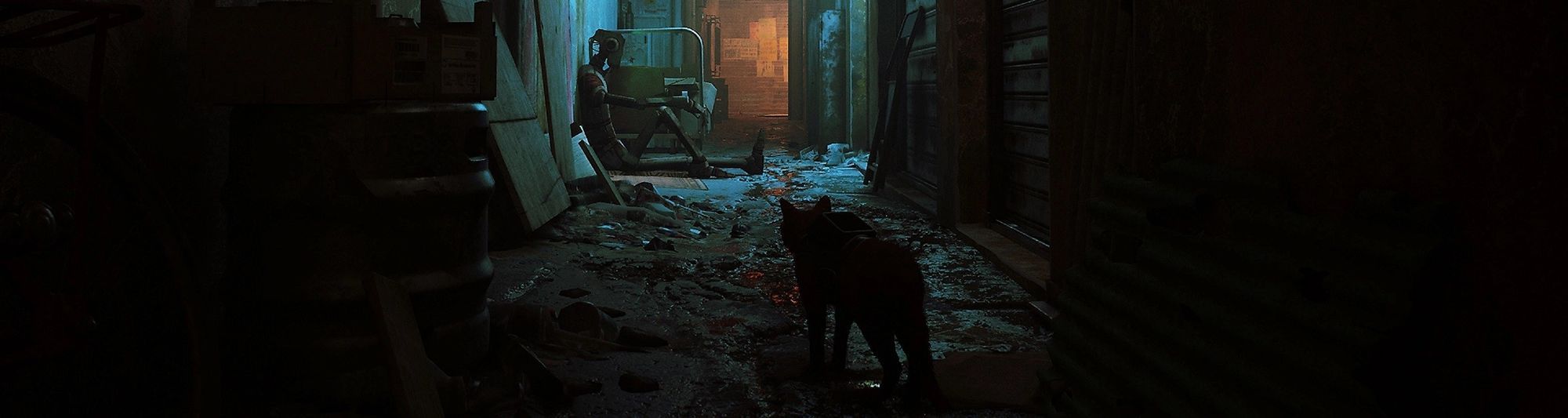 The New PlayStation 5 Game 'Stray' Lets You Be A Mystery Solving Cat In A  Neon-Lit Cyberpunk City