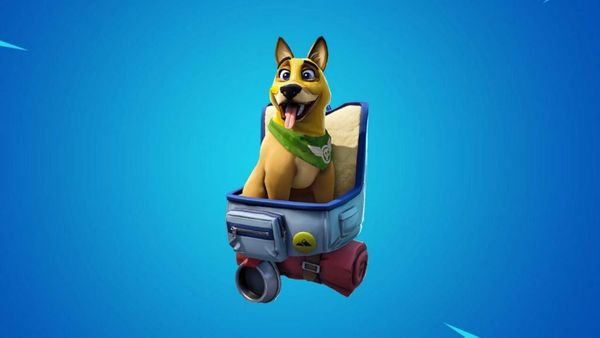 Epic apologizes and removes Gunner pet from store following backlash